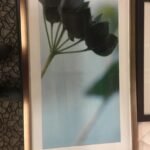 Rich Wall Paints