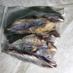 Dried Bonny Fish