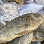 Salted Coby Ghanaian Fish