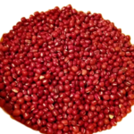Small Torborgee Beans